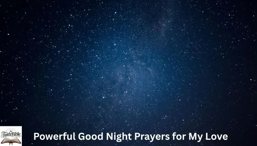 the faith bible (1) (1)